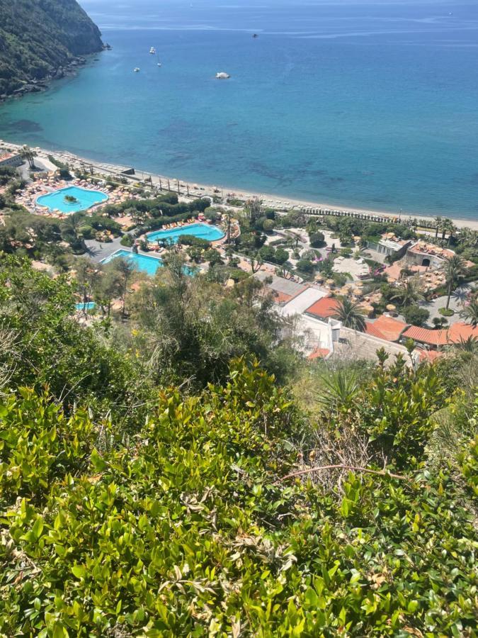 Villa La Dimora Di Zoe Forio  Exterior photo