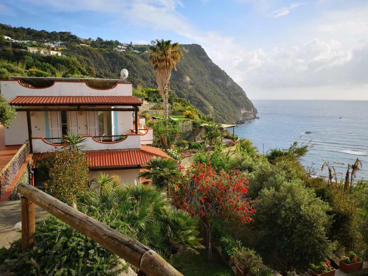 Villa La Dimora Di Zoe Forio  Exterior photo